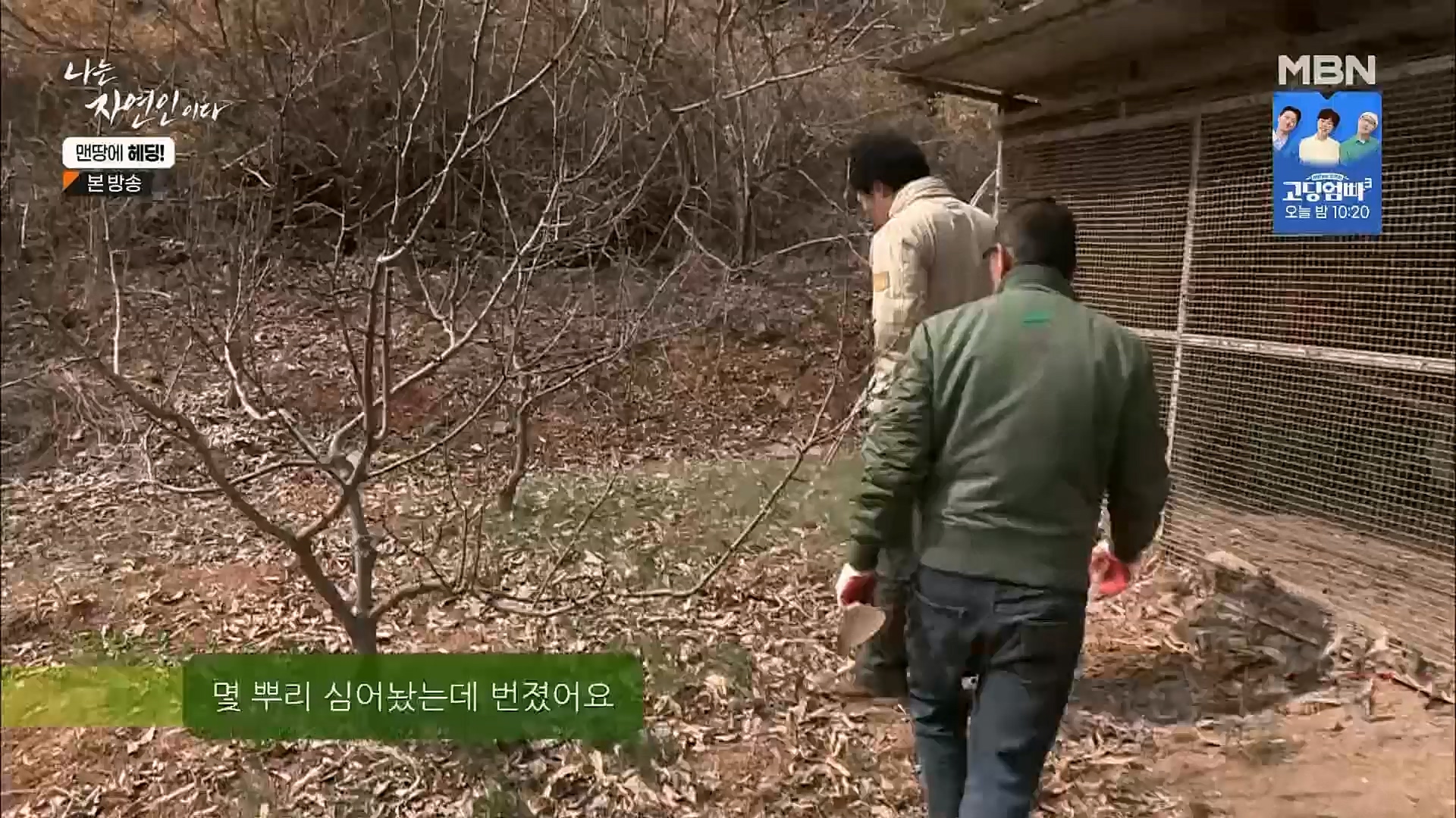 나는 자연인이다.E547.230329p.H264-F1RST.mp4_20230330_200727.121.jpg