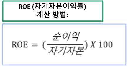 자기자본이익률 (Return on Equity&#44; ROE)에 대한 설명; 기업 투자에 앞서 알아둬야 할 수익성과 안정성: 투자자의 안전 네비게이터