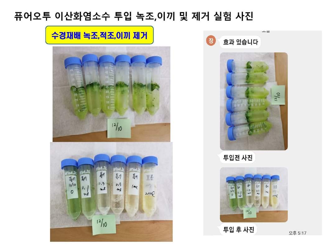  퓨어오투이산화염소수 수경재배 스마트팜 녹조 이끼제거