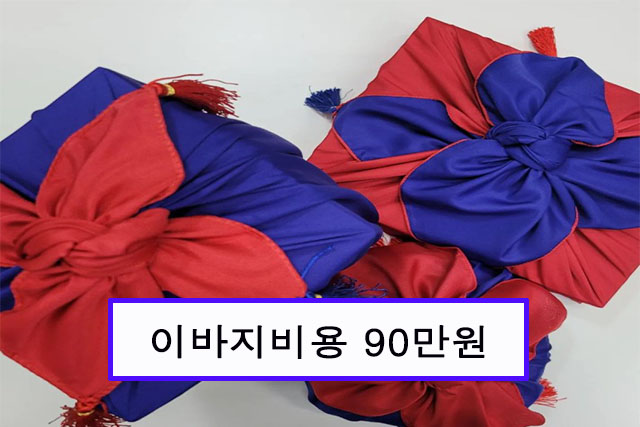 이바지비용