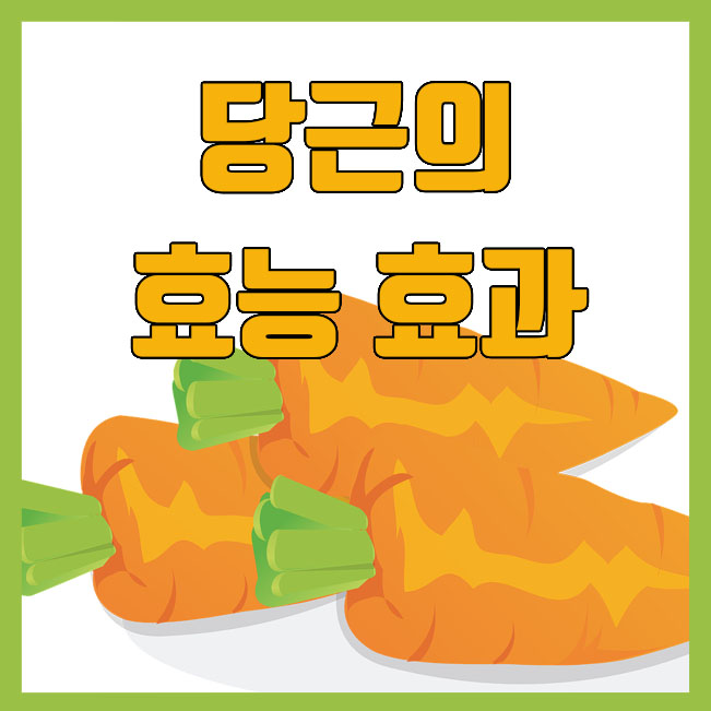  암예방과 피부미용에 좋은 야채, 당근의 효능 효과