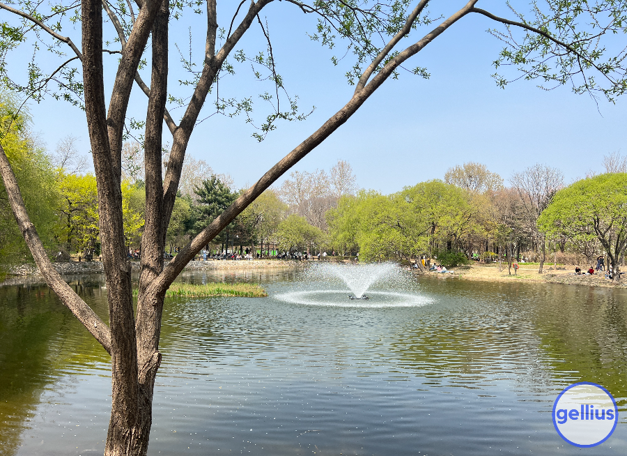 서울숲 살펴 볼 장소 다섯 번째&#44; 시원한 분수