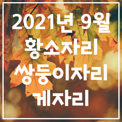  (황소자리, 쌍둥이자리, 게자리) 2021년 9월 은하별의 별자리 운세