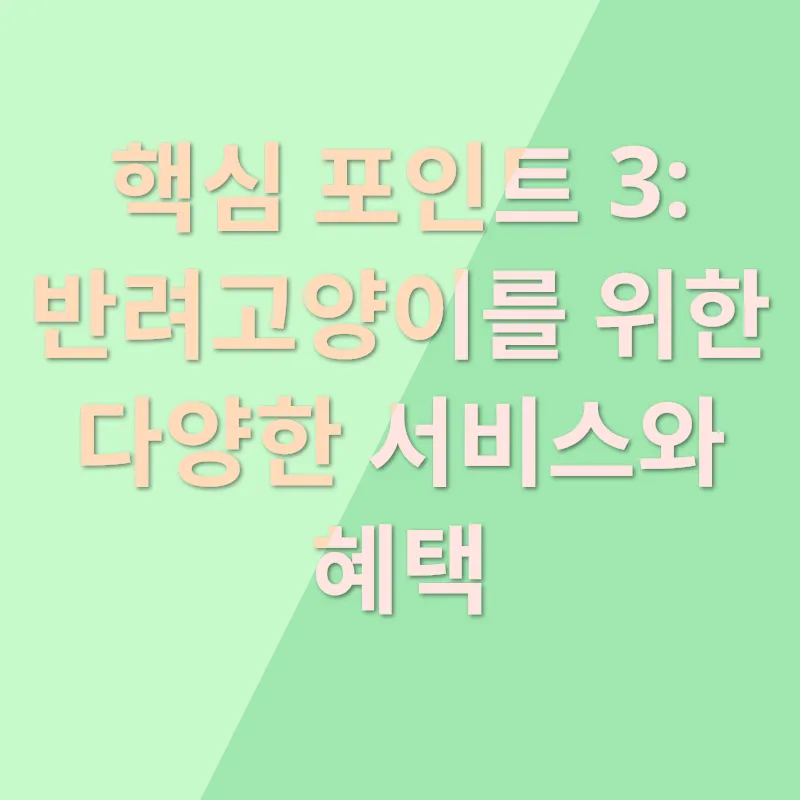 청주 고양이 분양_3