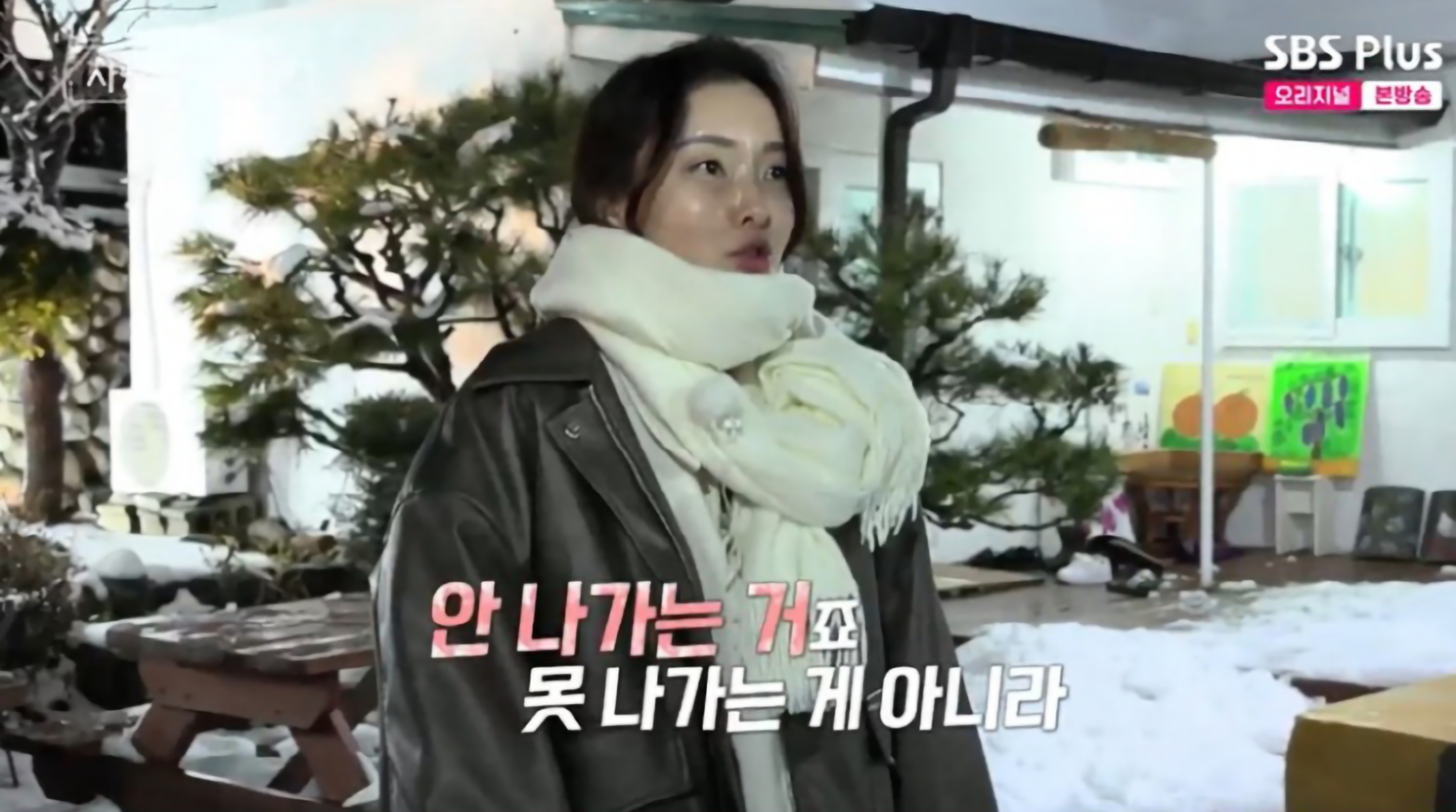 나솔사계