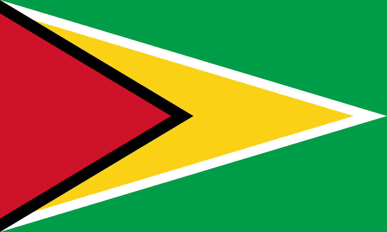 가이아나 국기