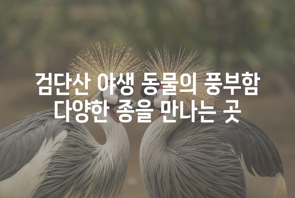 검단산 야생 동물의 풍부함 다양한 종을 만나는 곳