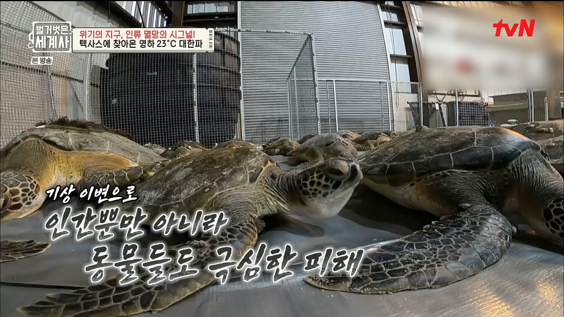 벌거벗은 세계사.E75.221129p.H264-F1RST.mp4_20221211_170957.933.jpg