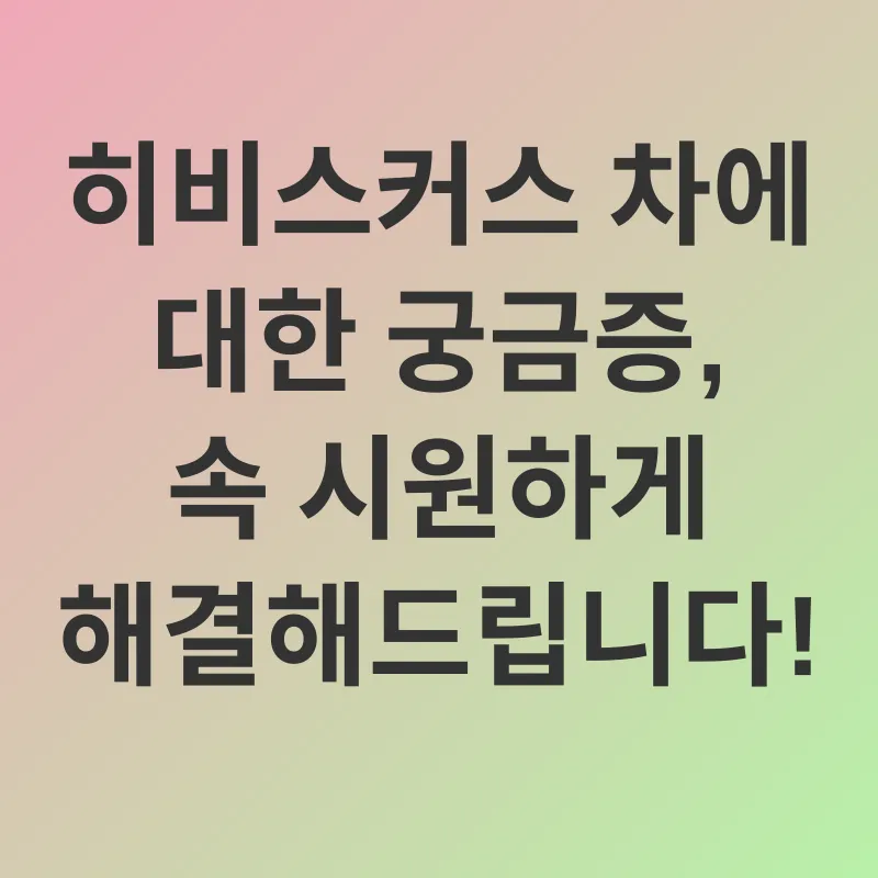 히비스커스차 효능_4