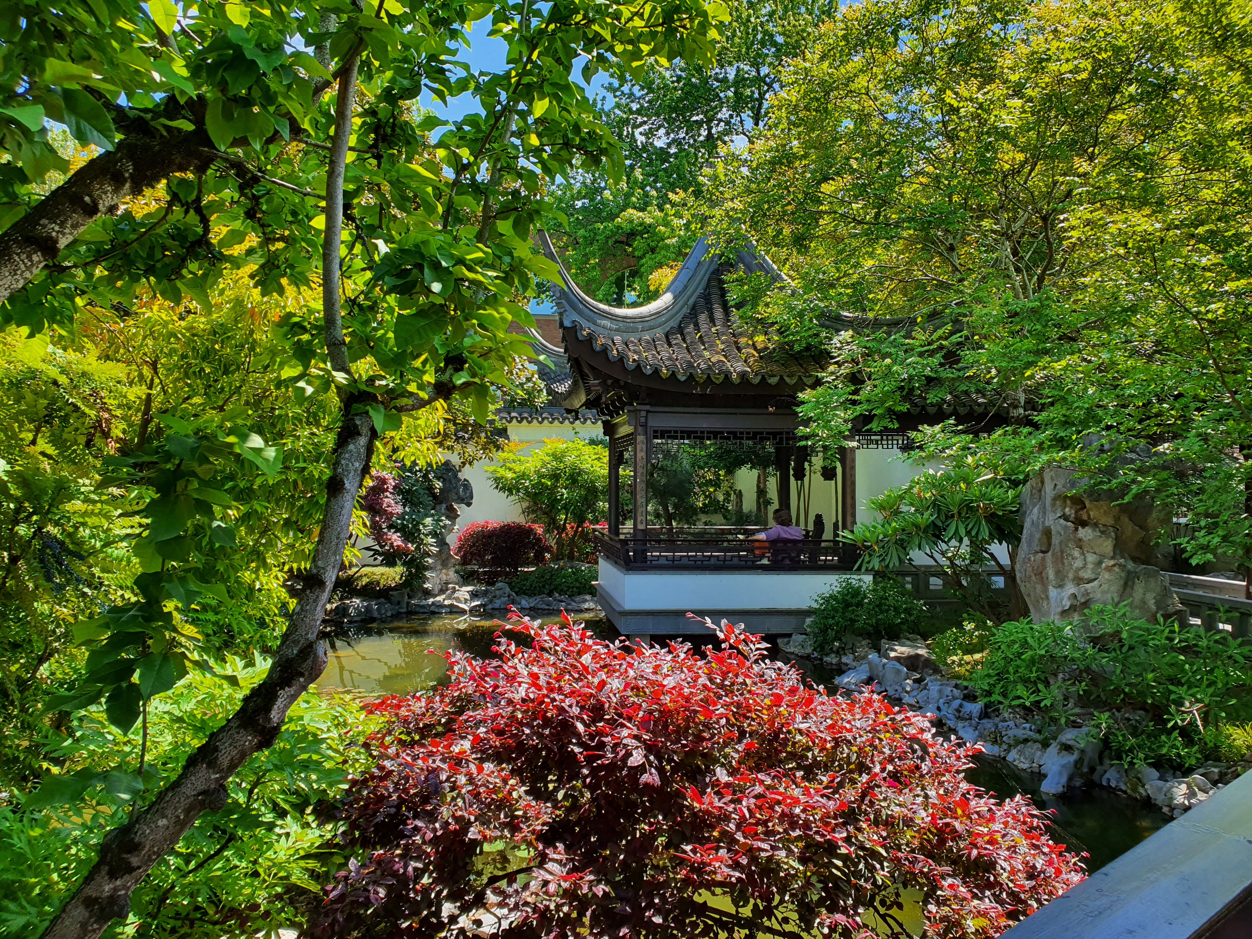 LanSu_Portland35.jpg