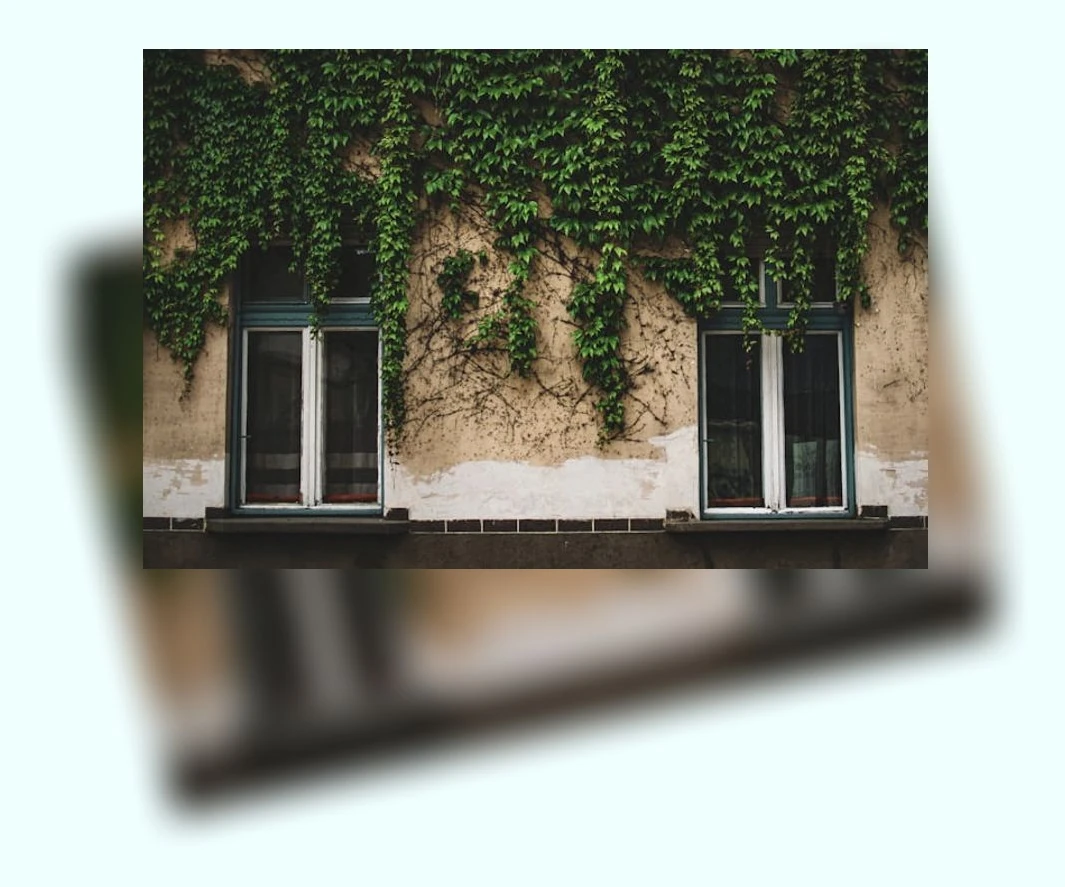 쾌변 습관_3_subsection