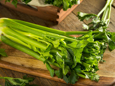 샐러리 효능 10가지 13