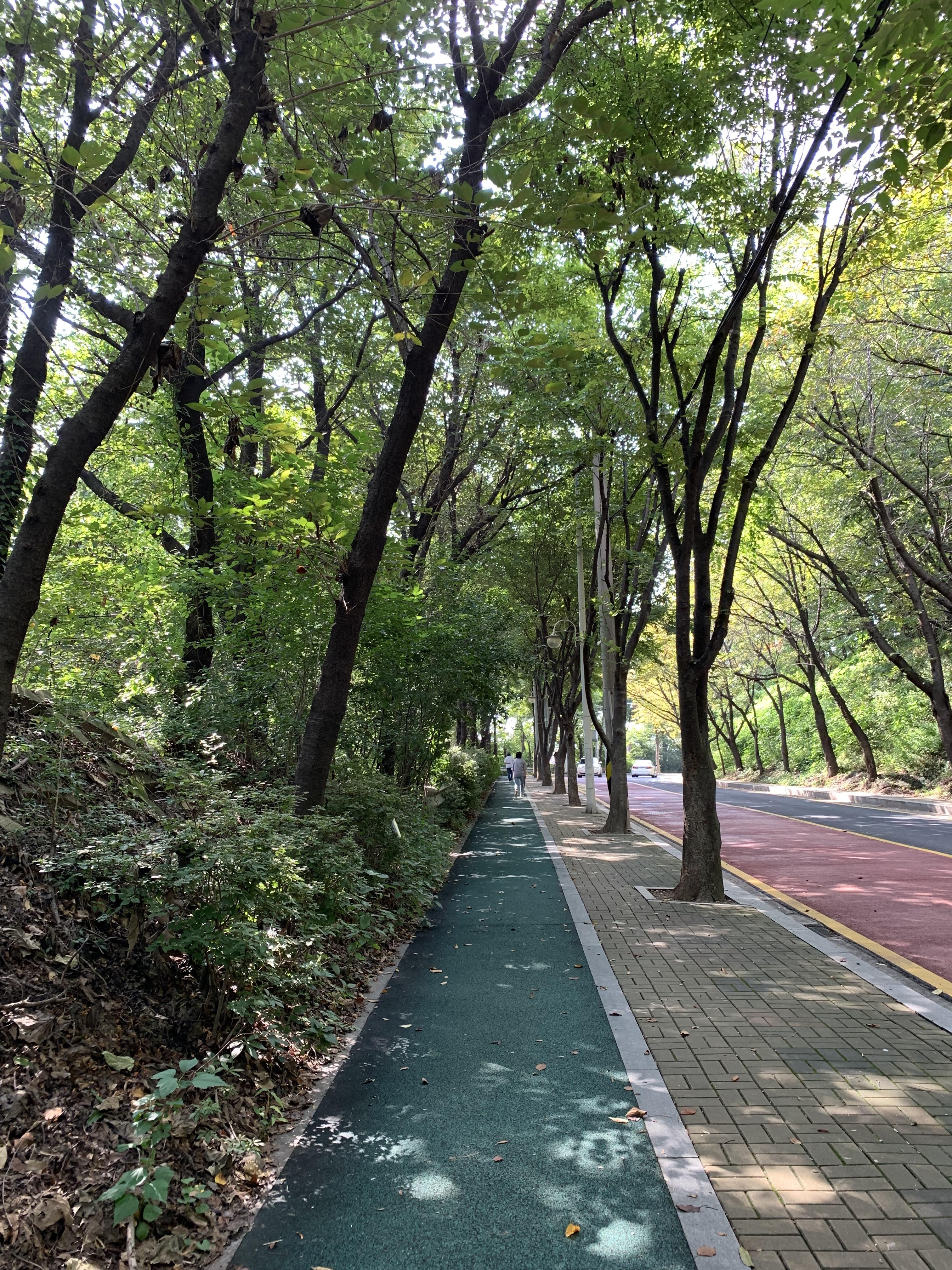  유산소 운동 1시간 하기 좋은 '이수동산' '도구머리 공원' / 걷기 다이어트 효과