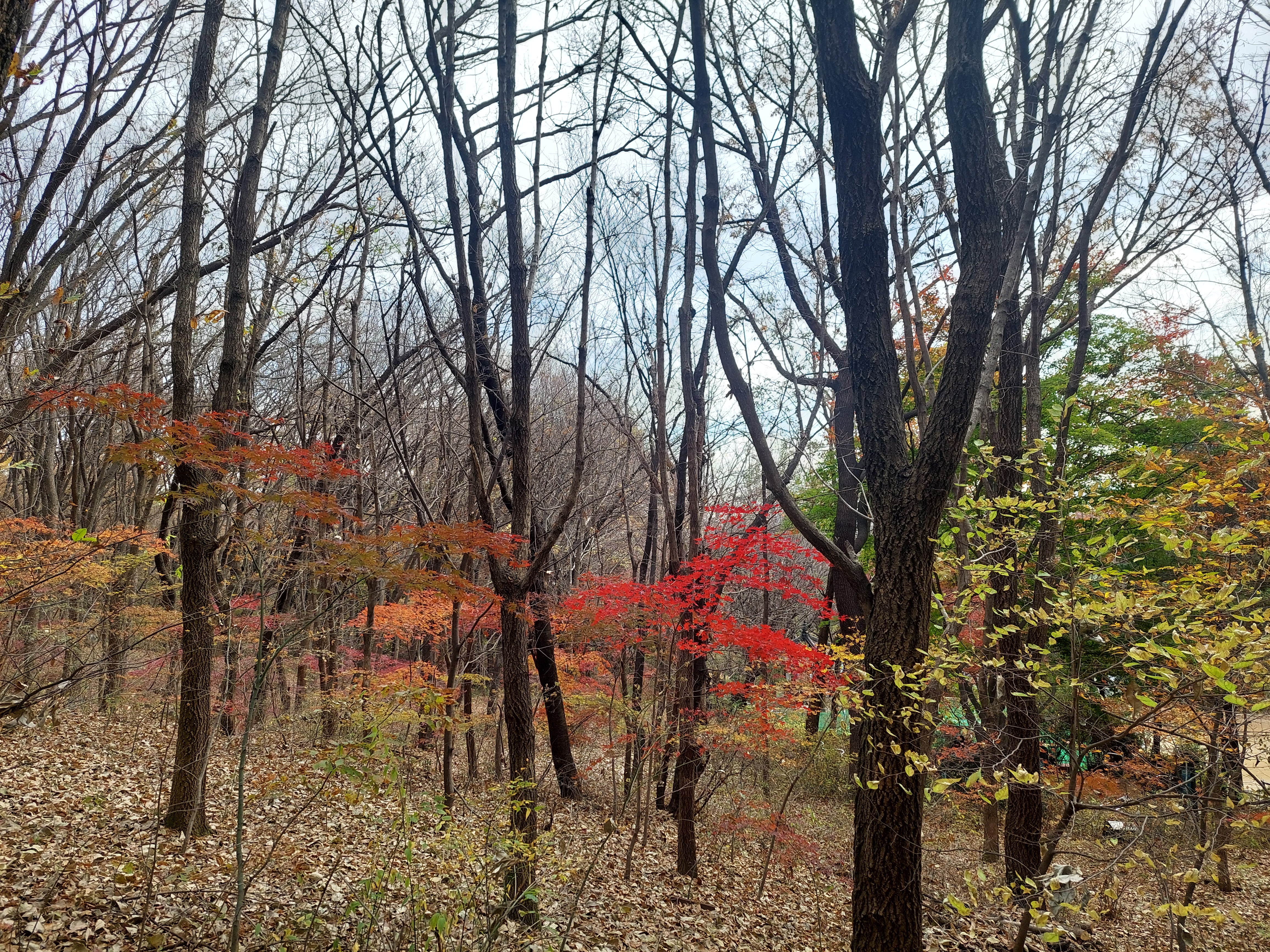 안산