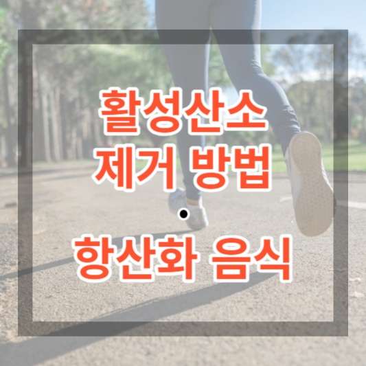  활성산소 제거 방법 및 습관, 항산화 음식에 대하여 알아보기