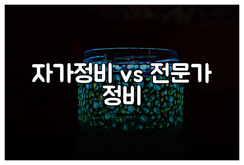 자가정비 vs 전문가 정비