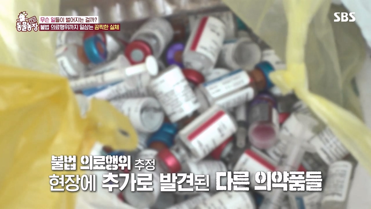 TV 동물농장.E1142.231023p-NEXT.mp4_20231022_172416.940.jpg