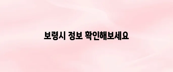 보령시청 홈페이지 바로가기 (www.brcn.go.kr)