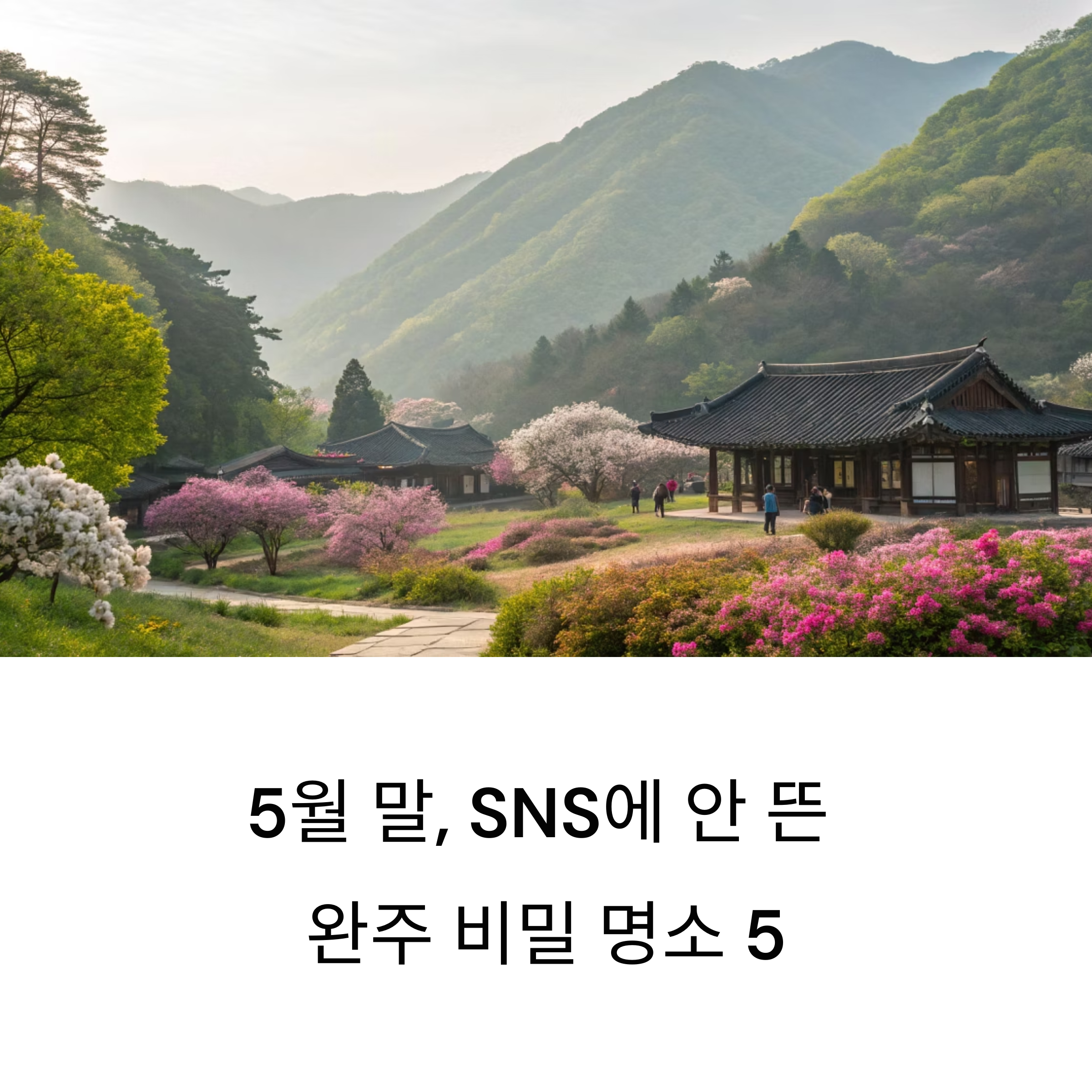 전주 그늘 속 숨은 완주