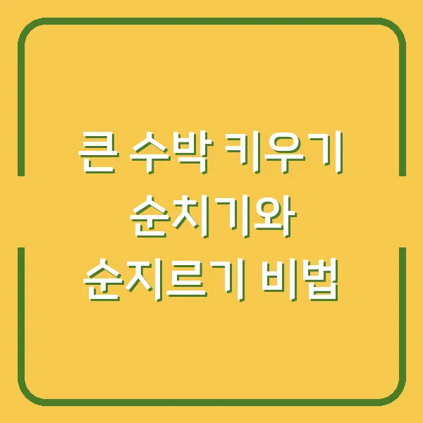 큰 수박 키우기 순치기와 순지르기 비법