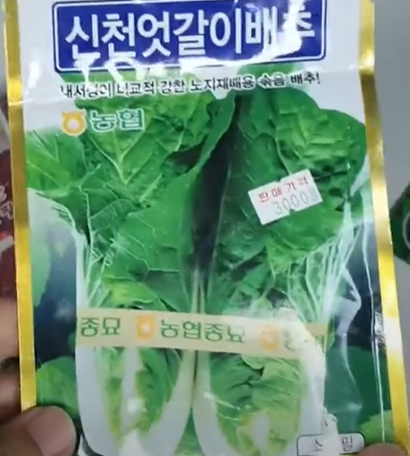얼갈이배추 &ndash; 열무와 함께 심기 좋음