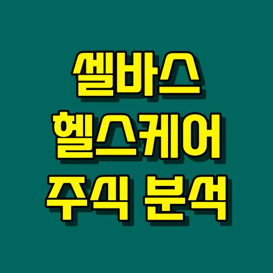 셀바스헬스케어 주식 분석