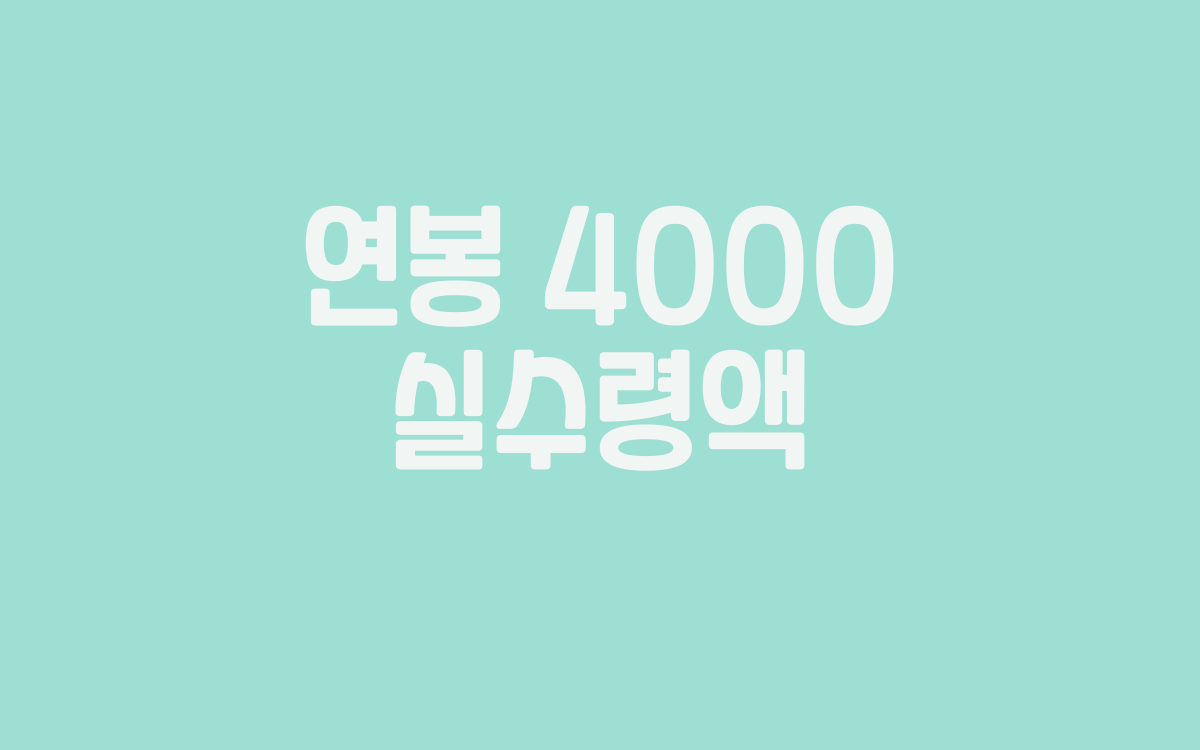  연봉 4000 실수령액은 얼마?