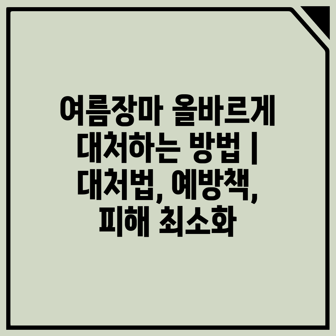 여름장마 올바르게 대처하는 방법  대처법, 예방책, 피