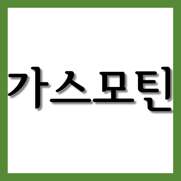  가스모틴정, 효능과 주의사항 자세히 알아보기