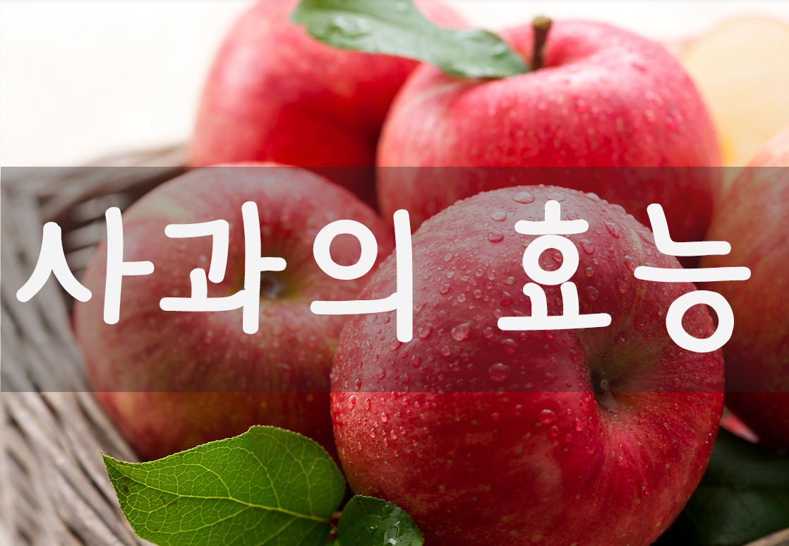  맛있는 꿀사과 그 꿀사과의 효능은? 과연?