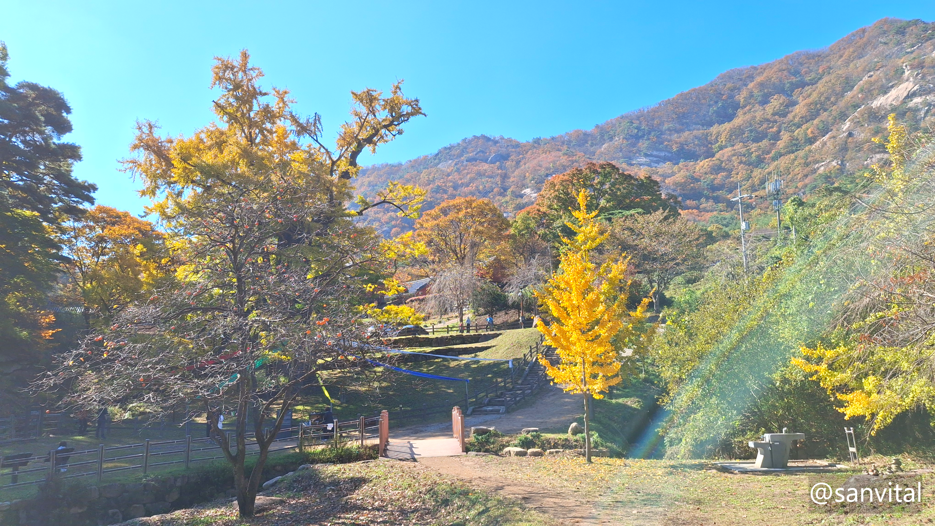 천태산 영국사