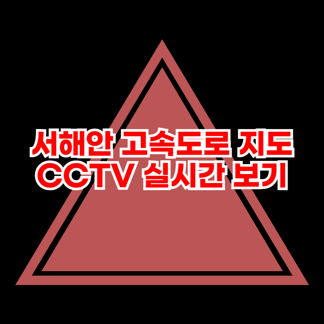 서해안_고속도로_지도_CCTV_실시간_보기