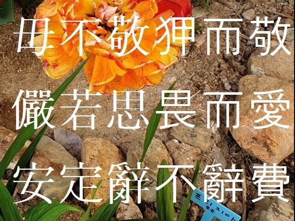 삼언 이미지