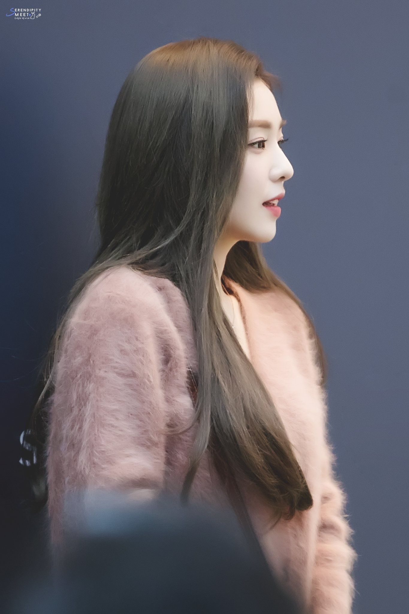 레드벨벳 아이린(배주현)