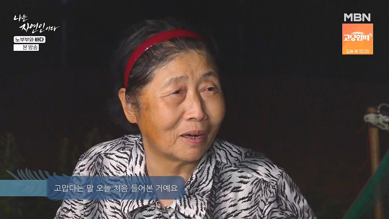 나는 자연인이다.E610.240620p-NEXT.mp4_20240620_194128.813.jpg