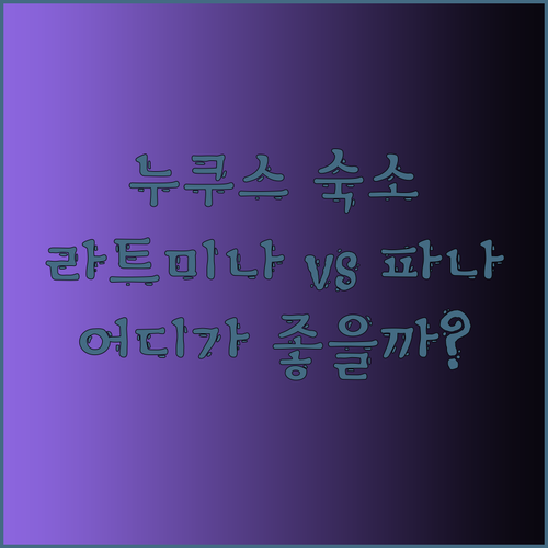 누쿠스 공항 근처 숙소 고민 끝! 라