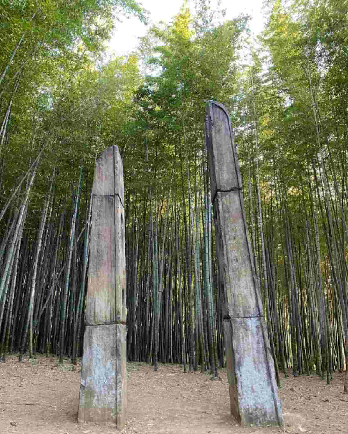 아홉산숲