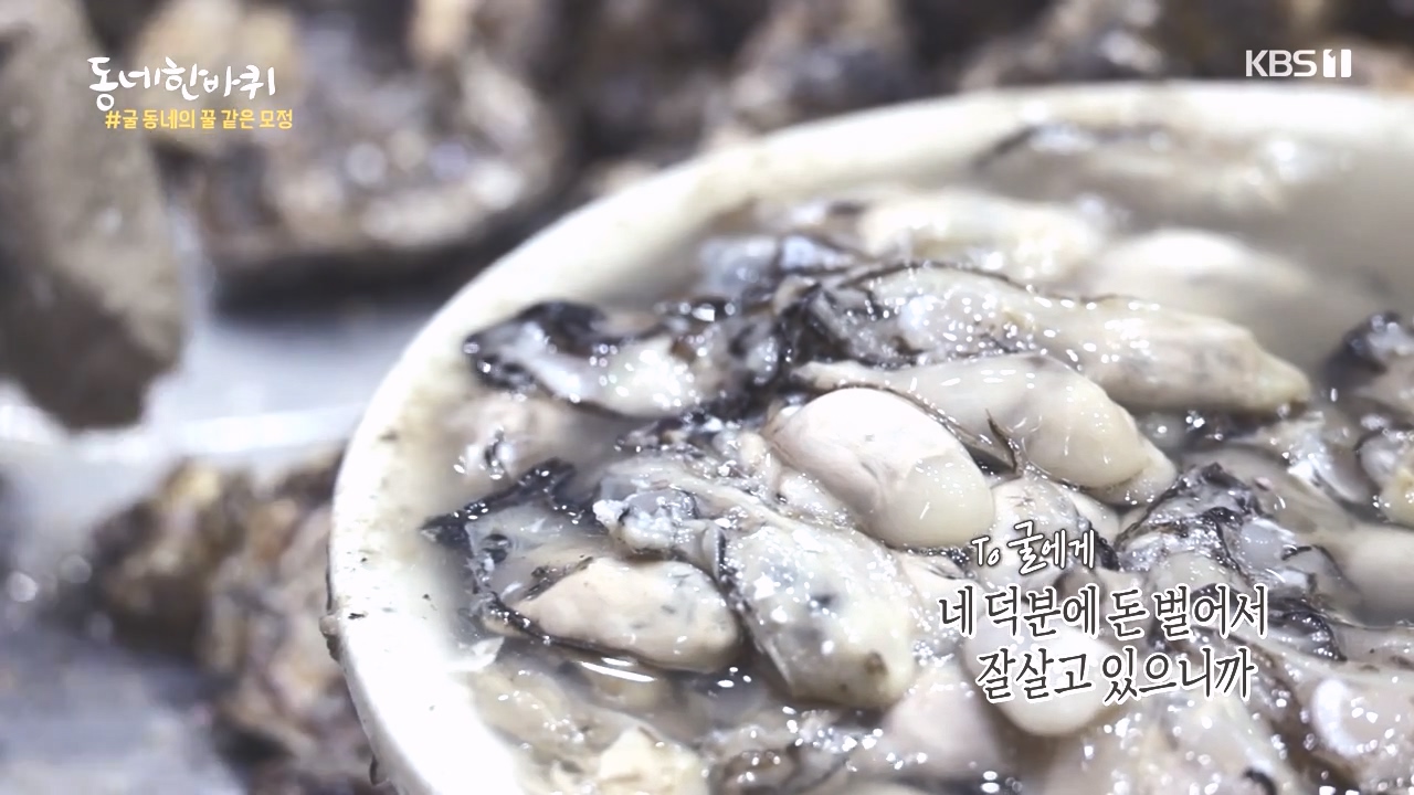 동네 한 바퀴.E243.231015p-NEXT.mp4_20231015_180433.772.jpg