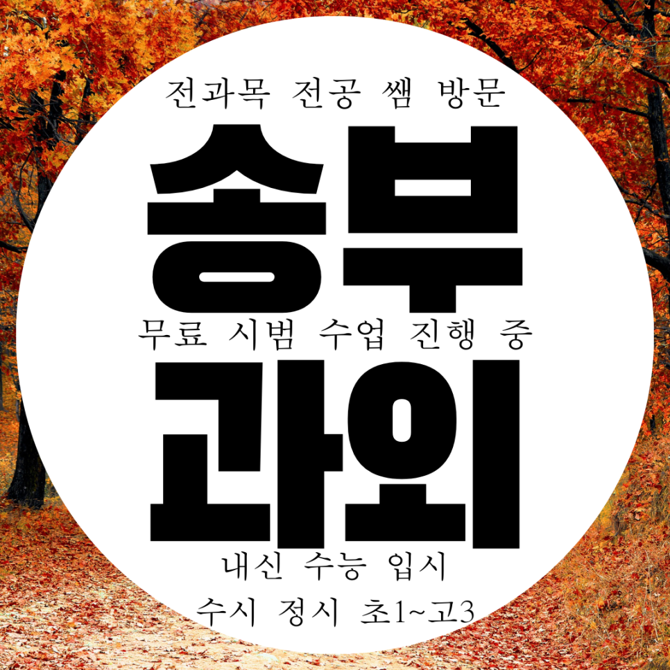  군포 송부동 수학과외 중등 산본동 영어과외 고등 과학 한국사