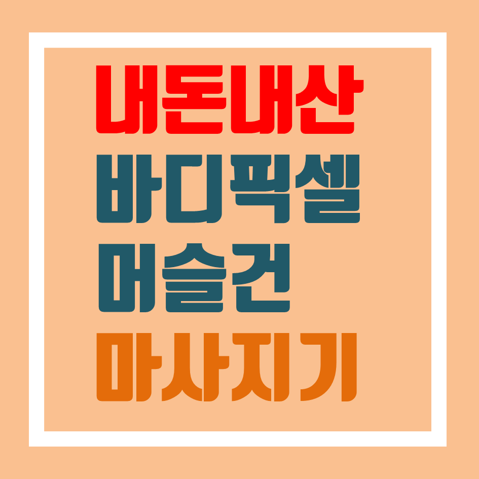  바디픽셀 머슬건 SE 마사지기 (feat.마사지건)