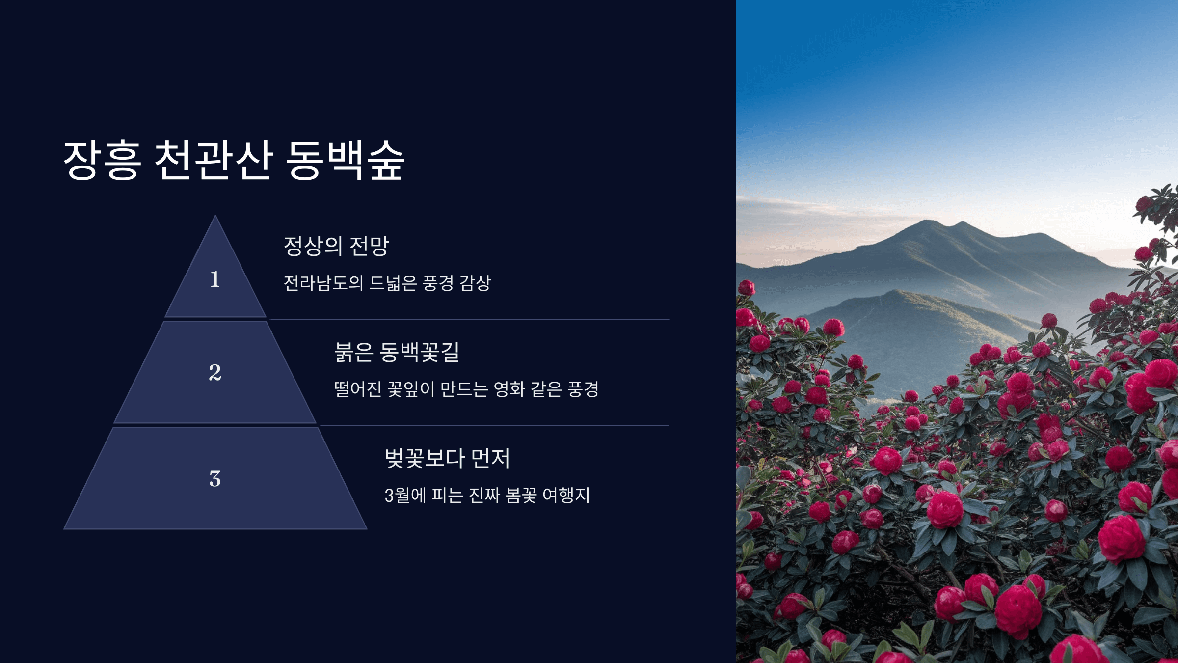 천관산 동백숲