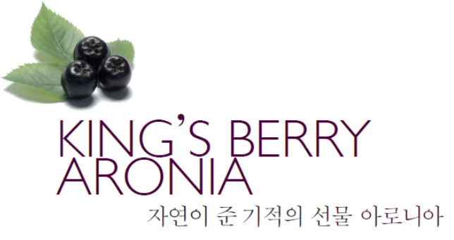  아로니아 효능과 부작용 총 집합