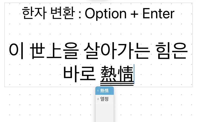 맥북의 프리폼에서 한자를 변환하는 모습