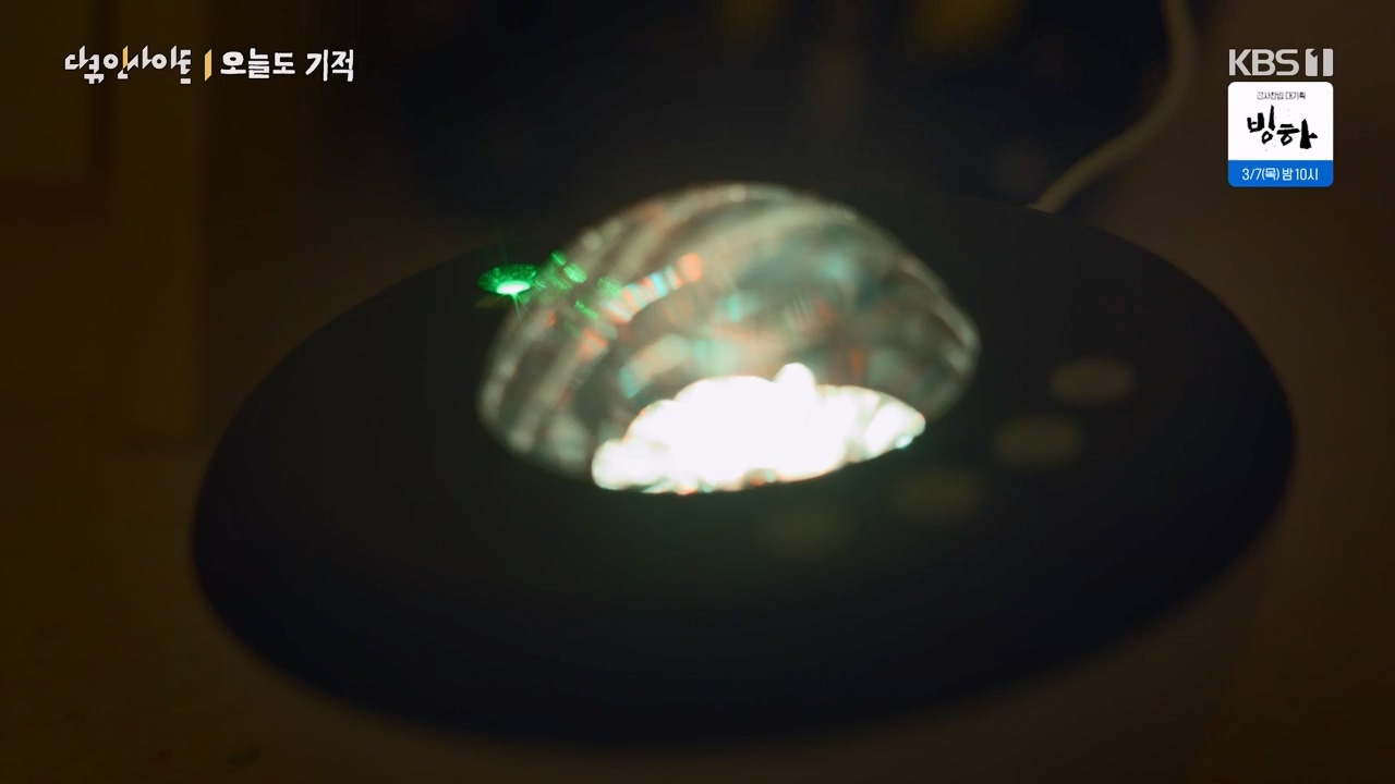 다큐 인사이트.E182.240230p-NEXT.mp4_20240301_175515.290.jpg