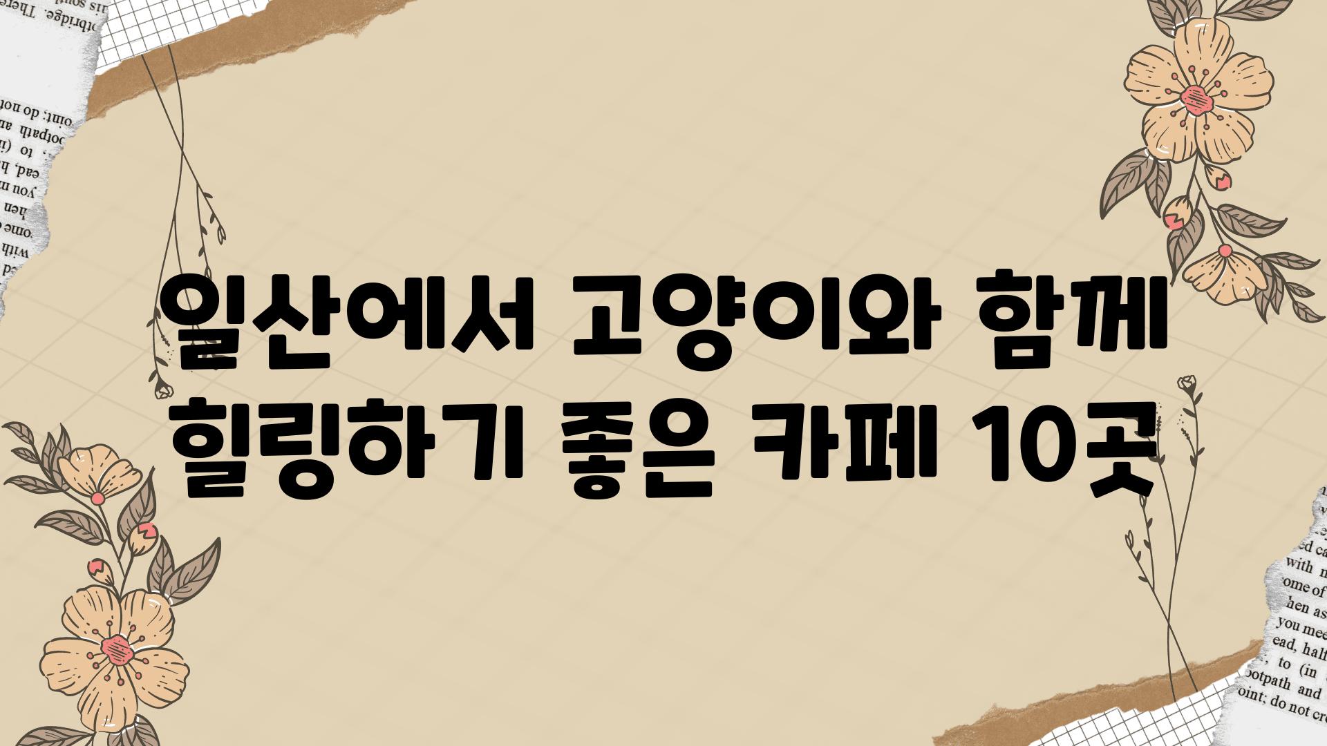 일산에서 고양이와 함께 힐링하기 좋은 카페 10곳