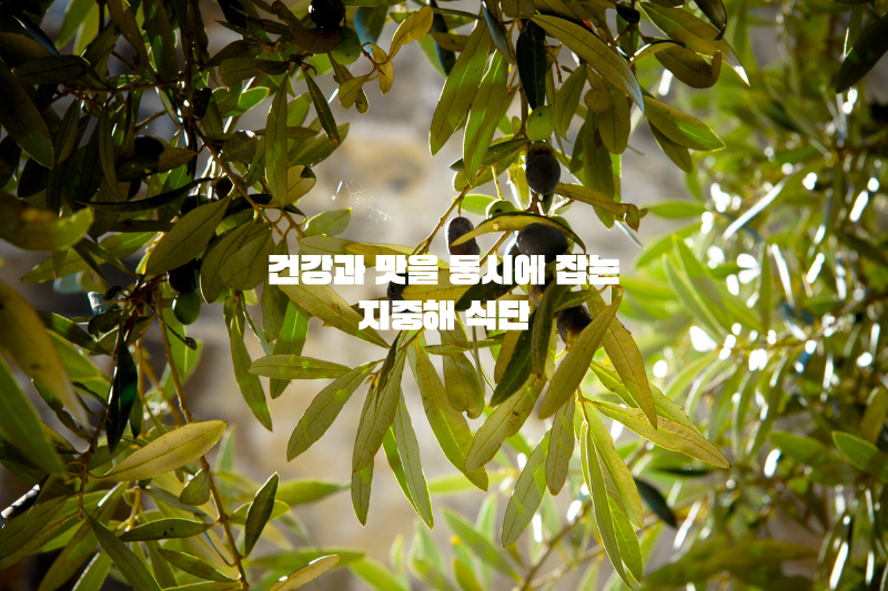 건강과 맛을 동시에 잡는 지중해 식단