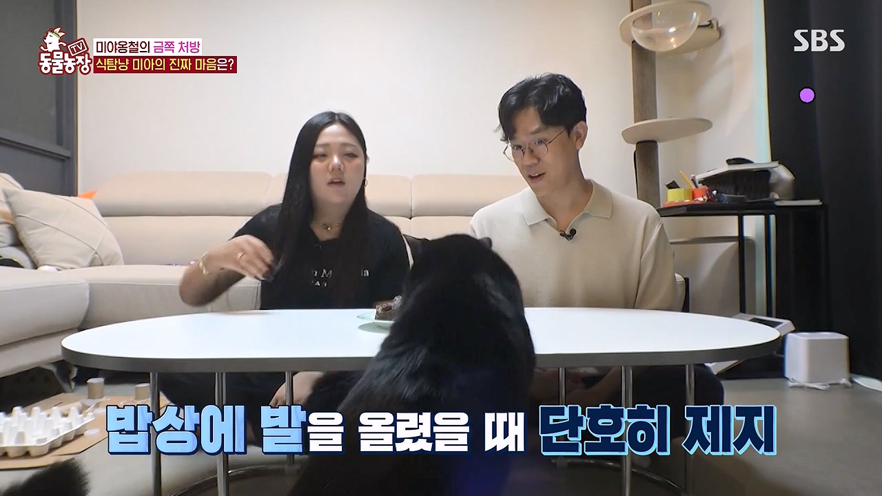 TV 동물농장.E1138.230918p-NEXT.mp4_20230917_174242.890.jpg