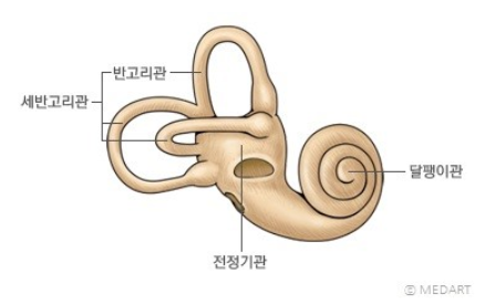 달팽이관-전정기관