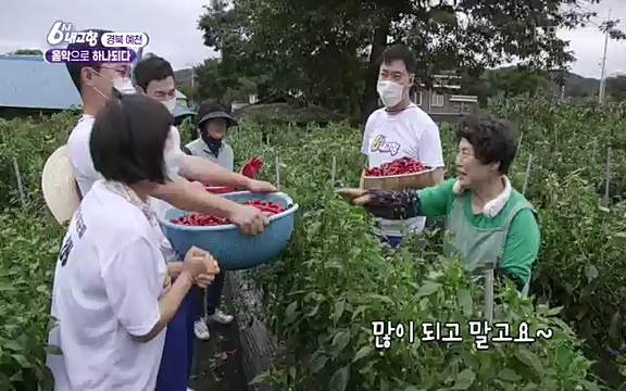 [7612회] 6시 내고향 - KBS7612회] 6시 내고향.ts_20220912_174116.171.jpg