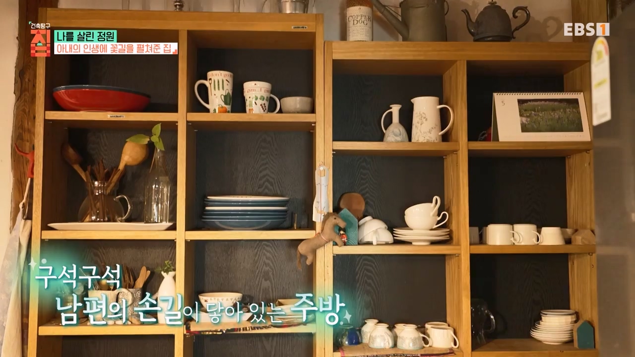 TV - 전 국민의 평생학교 EBS나를 살린 정원.mp4_20230814_211339.121.jpg